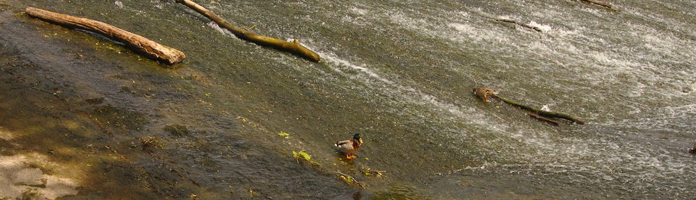 Wasser, da wo ich herkomme