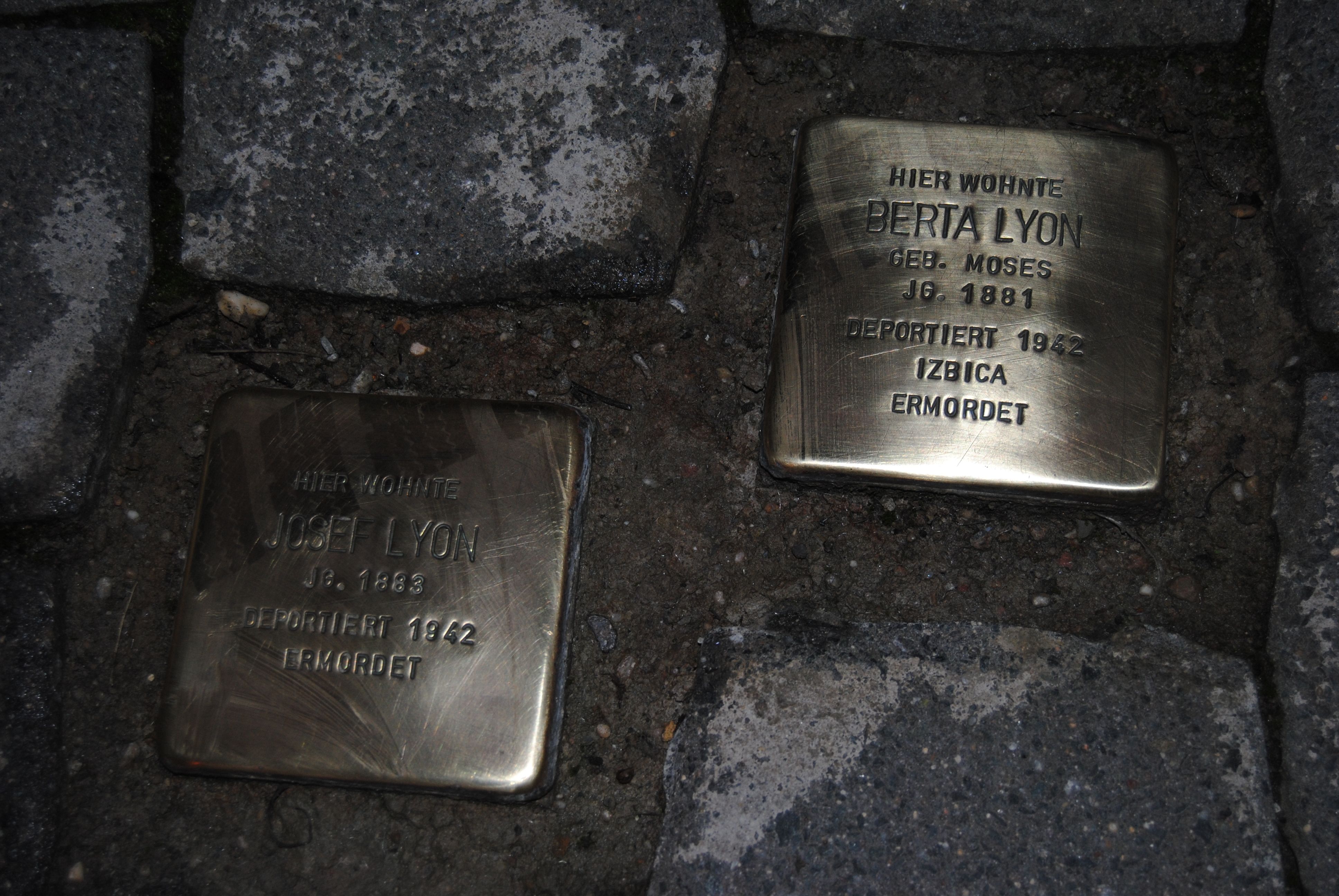 Stolpersteine glänzen wieder hessencam